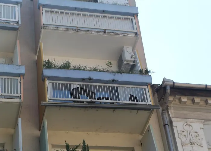 Verona 塞格德